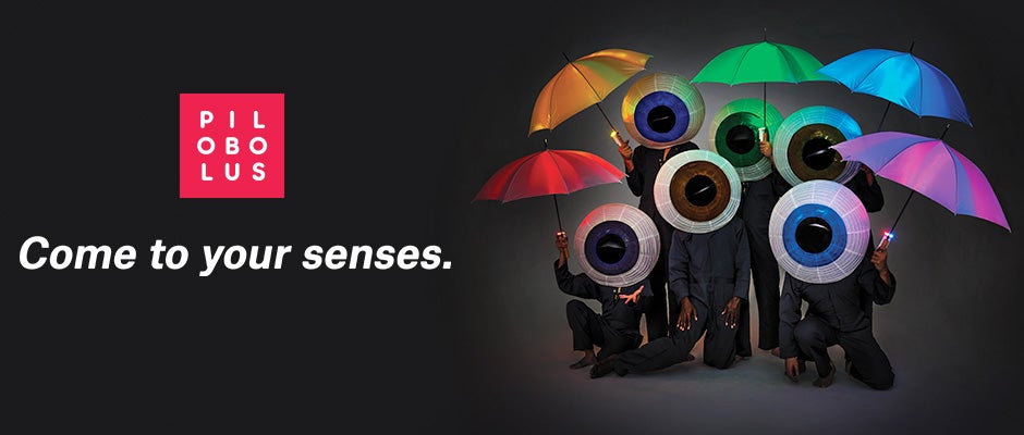 Pilobolus_bergenPAC_940x400.jpg